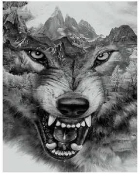 Diamond painting Wolf DL3040/101
