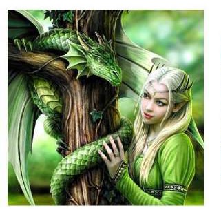 Diamond paint.Drakenvr. green DL4040/102