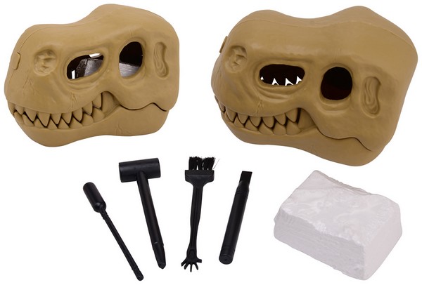 6 dino schedel uithakset 24536