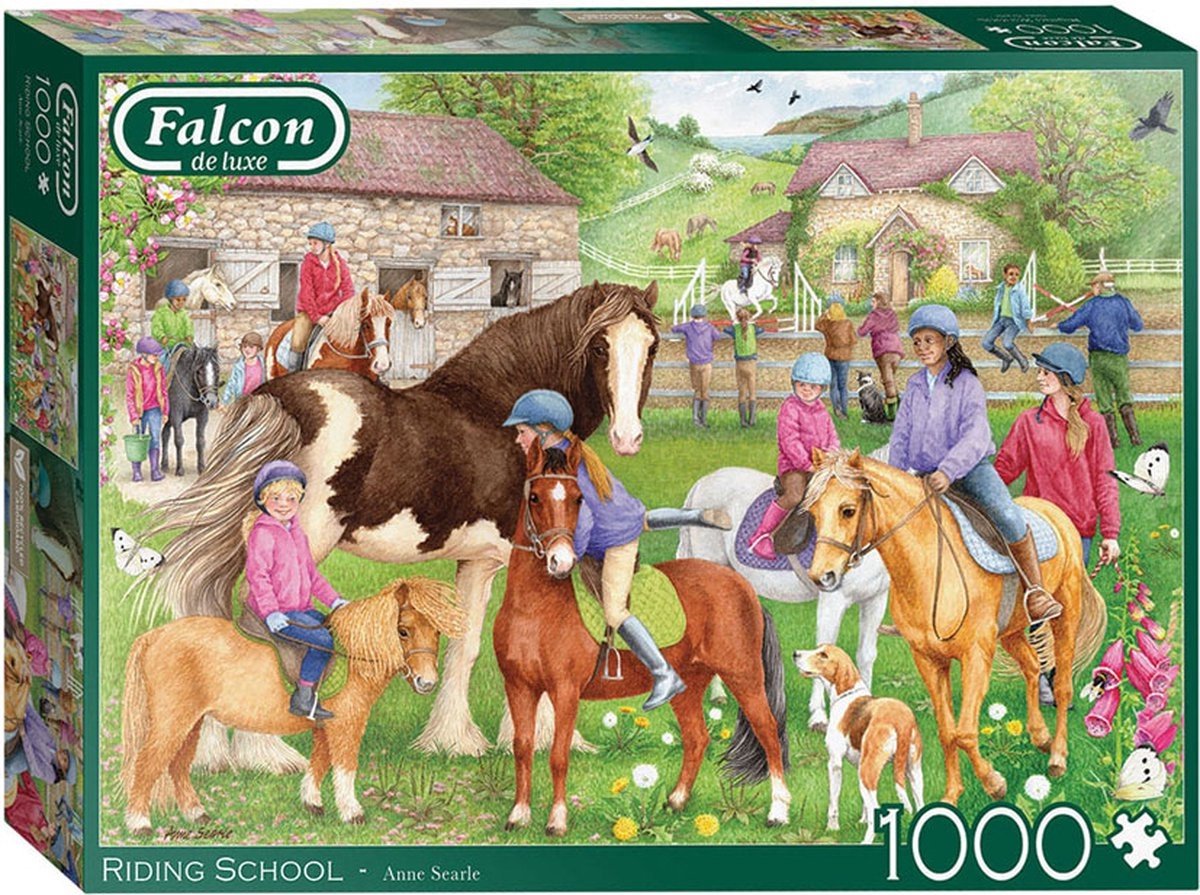 Jumbo puzzel 1.000 st. Falcon 1110500236