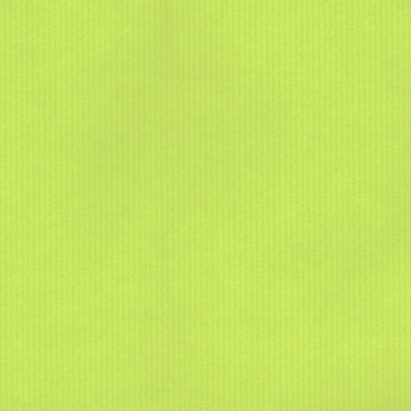 250 cadeauzakjes felgroen 7x13 cm. 146